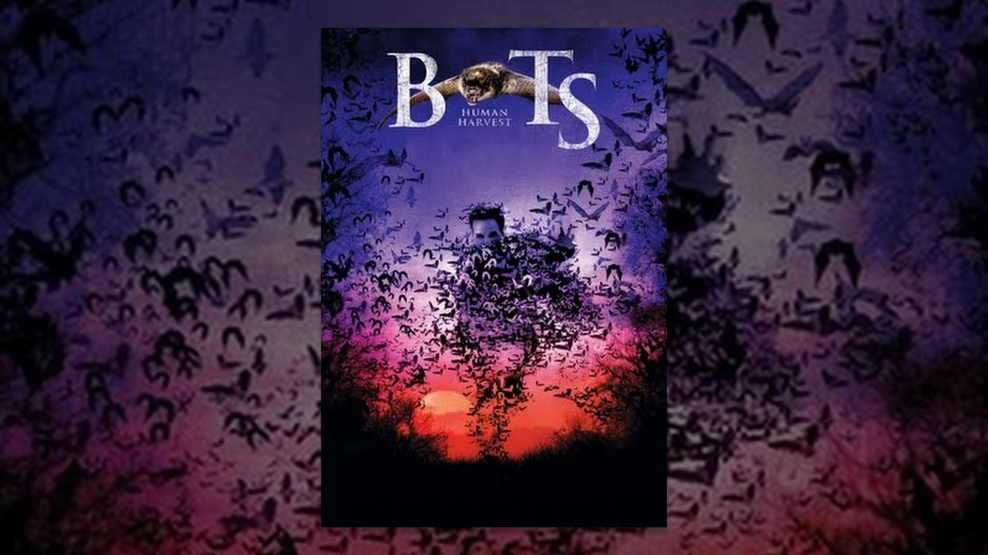 Bats Human Harvest YouTube