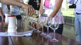 Undurraga Winery Tour. Turistik, Santiago, Chile