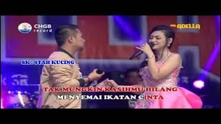 Fira Azahra Feat Fendik Adella - Memori Berkasih