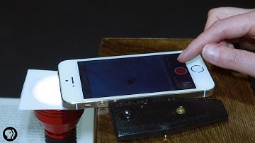 See Microbes with this DIY Phone Microscope