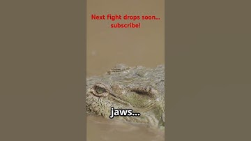 Python vs Crocodile #python #wildlife #viralvideo #crocodile #naturedocumentary #shorts #fyp #nature