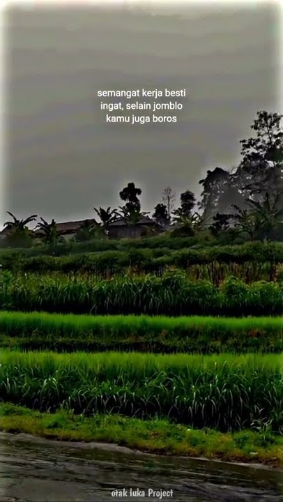 STORY WA 30 DETIK || STORY WA KEREN || STORY WHATSAPP