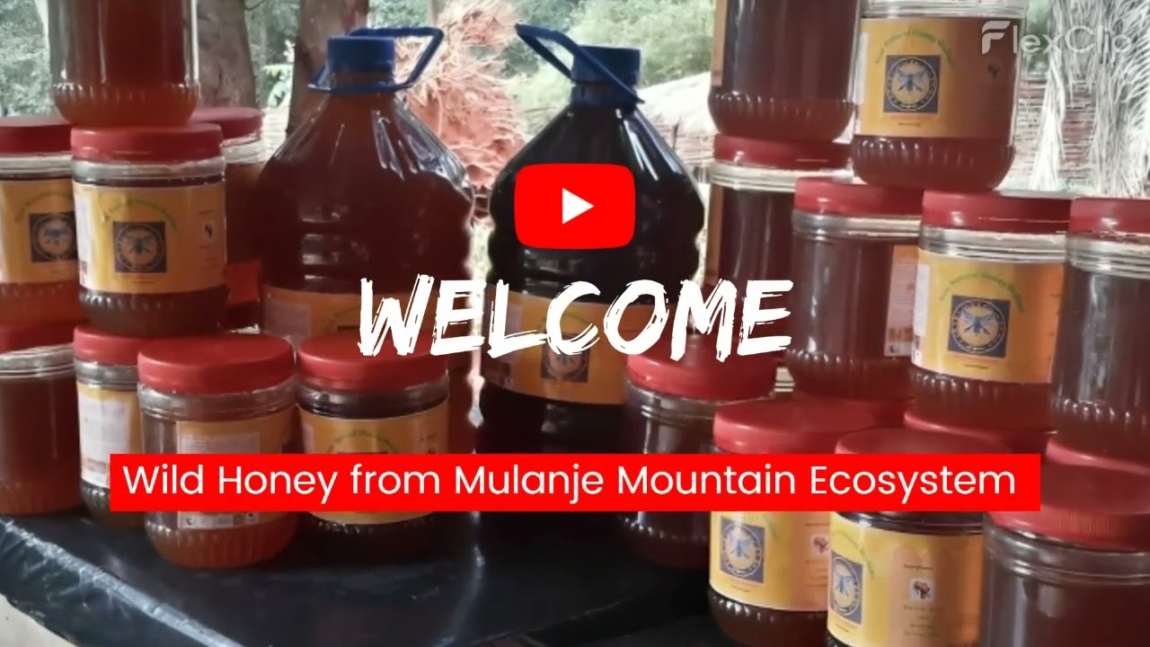 Raw Natural Honey Malawi (RNHM)