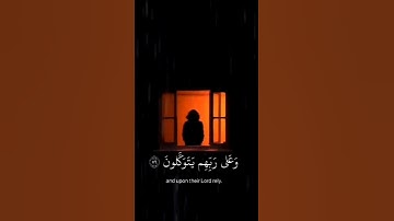 [الذين صبروا وعلى ربهم يتوكلون] 😌🎧 #عبدالرحمن_مسعد #تلاوة_خاشعة