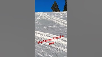 Memories 3.18.23D27 #polaris #snow #skidoo #arcticcat #winter #wyoming #yamaha #haydays #snowmobile