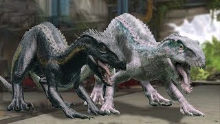 The White Indoraptor!!! - Jurassic World Alive | Ep61 ( Jurassic GO )