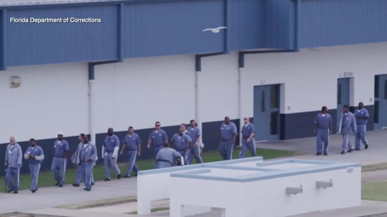 Jeff Brandes discusses the current state of Florida prisons YouTube