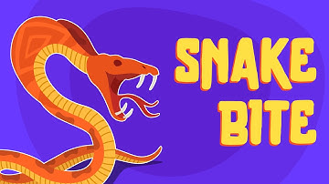How To Treat Snake Bites - First Aid