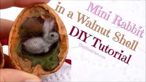 Needle Felting Tutorial: Miniature Bunny in a Walnut - Miniature Animal Tutorial