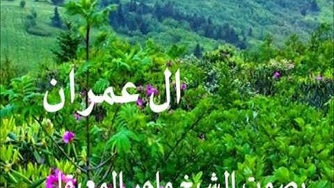 سورة ال عمران بصوت الشيخ / ماهر المعيقلي 3
