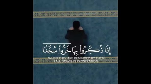 اكتب شئ تؤجر عليه 🤍🤍تلاوه هادئه مريحه للقلب