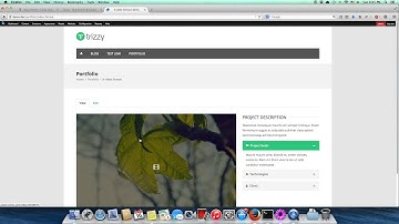Trizzy Install Portfolio