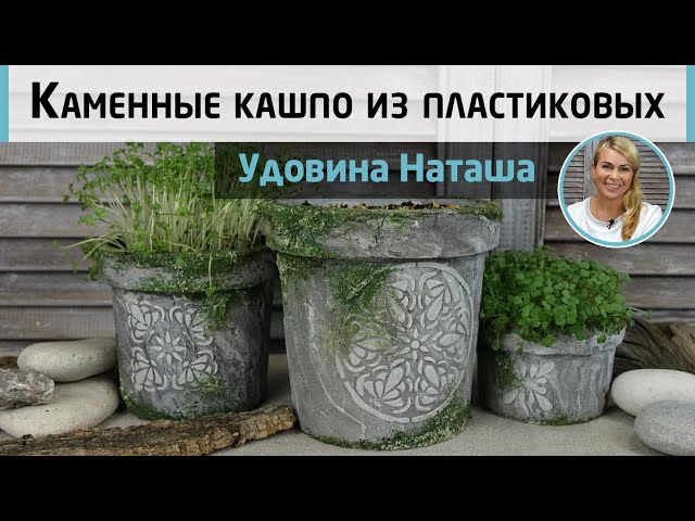 Кашпо: что это такое? Особенности керамических и пластиковых изделий, настенные и подвесные модели. Как сделать своими руками?