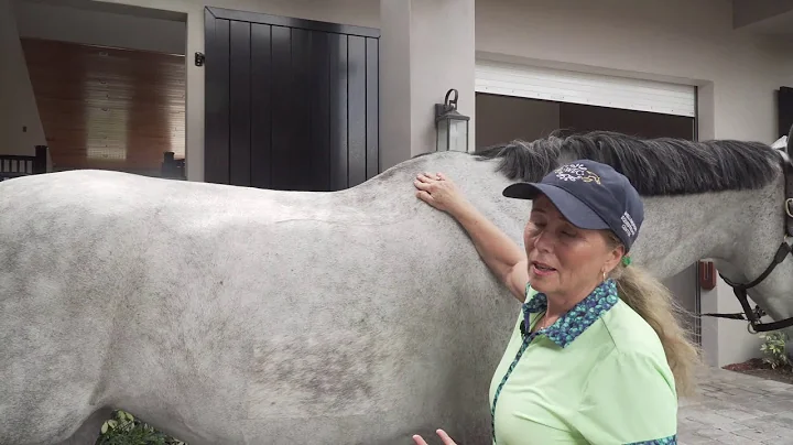 Inspection of the Horses Topline