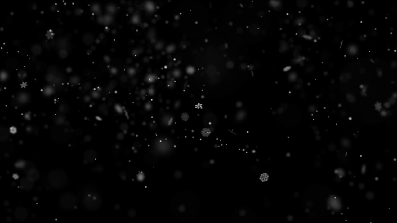 snow video effect free download