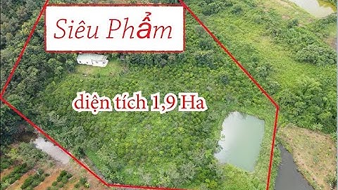 Siêu phẩm nhà đất suối hồ bao quanh tại Trường Xuân