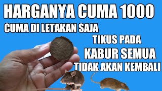 Dealer Resmi menangani kasus tikus masuk ke dalam kap mesin mobil