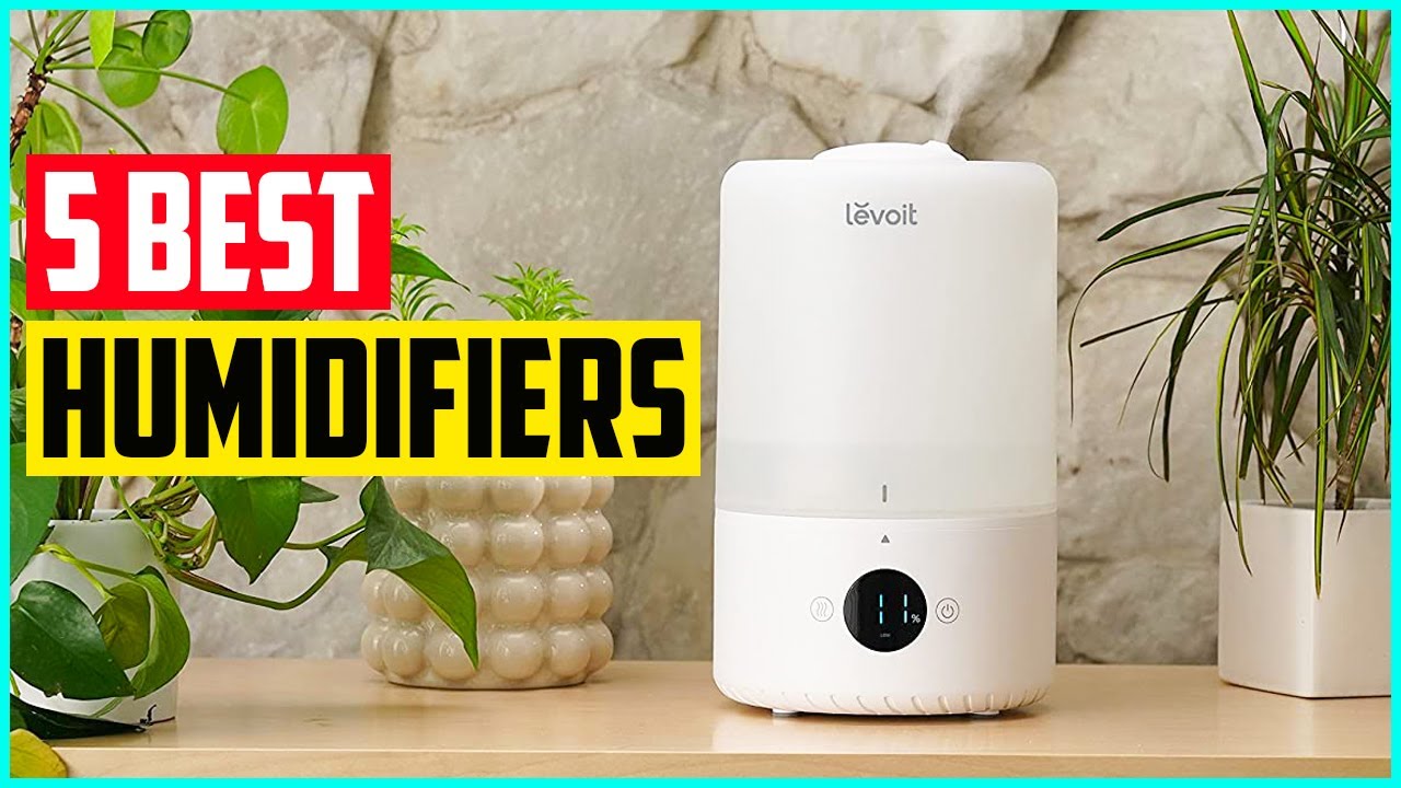 The 5 Best Humidifiers In 2021 YouTube