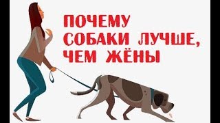 Почему собаки лучше, чем жёны? | Свежие анекдоты и приколы