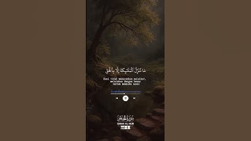 نور الآيات: تلاوة ترتقي بالأرواح #تلاوة_خاشعة #القرآن_الكريم #سكينة_التلاوة#تلاوة_مؤثرة