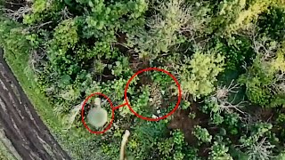 Hand Grenade Takes Out Massive Pile Of TM-62 Anti Tank Mines Hidden Between Trees
