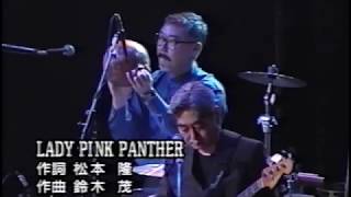 Video thumbnail of "Tin Pan  LADY PINK PANTHER"