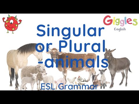 ESL Singular and Plurals - with animals - YouTube