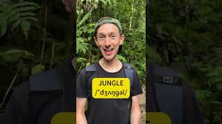 Have you ever visited a jungle?