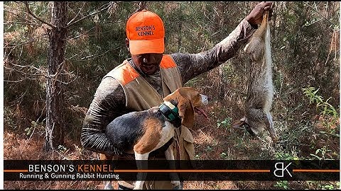 Running & Gunning Rabbit Hunting | Benson