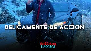 belicamente de acción - Raúl Beltrán × la autorización {Corridos 2023}