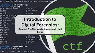 Introduction to Digital Forensics: Capture The Flag worked example in Kali Linux