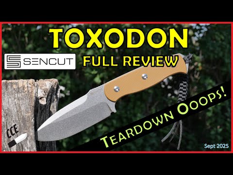 Sencut Toxodon - With a
