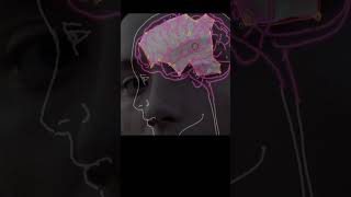 The three filters that keep you from reality #truth #mind #philosophy #logic #reasoning #perception