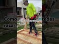 Tip de framing #sheds #construction