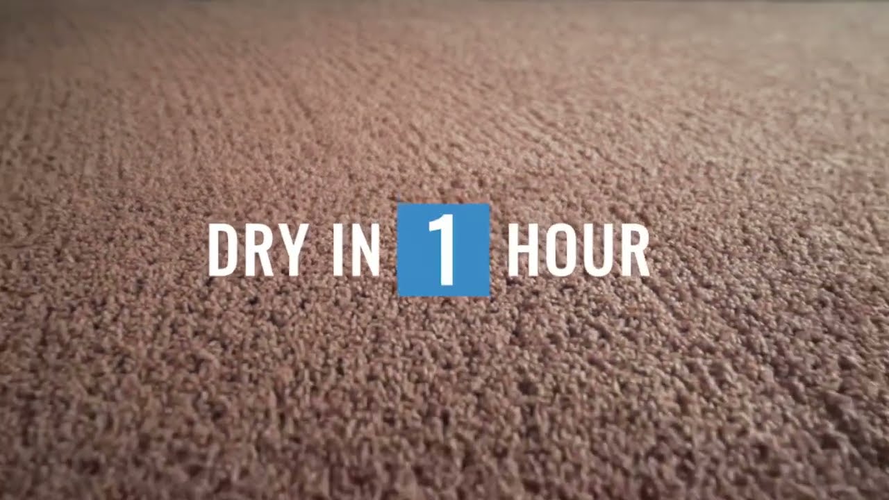 Heaven's Best Carpet Cleaning - Milwaukee WI