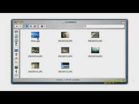 How to Transfer Photos from Your Digital Camera to Computer For Dummies