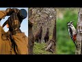 FILMING WILDLIFE - The Importance of Nature Reserves - Cinematic 4K