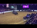 Percheron Power at the World Finals