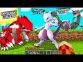 HO SFIDATO LA PRIMA SQUADRA ULTRA LIVELLO 150 SULLA PIXELMON!!