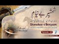 Shamsheer e beniyam  episode 48