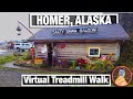 City Walks - Homer Alaska Walking Tour - Virtual Walking tour of Homer Spit - Marina and Shops