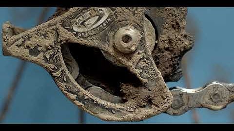 Life Cycles 2010 [1080p] (Subtítulos Español)