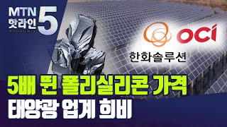 5배 뛴 폴리실리콘 가격…태양광 업계 희비 / 머니투데이방송 (뉴스)