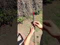 Gotta get it open somehow