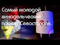 Обзор. "Яйла" Каберне Совиньон/"Yaiyla" Cabernet Sauvignon. #Крым. Какое #вино купить в магазине?