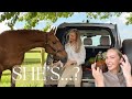 Finding out if my horse is pregnant!?