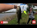 Bassfishing For Tanks With The Megabass Spark Shad Swimbait #bassfishing #fishing #swimbait 