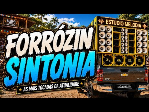 FORRÓZIN SINTONIA - AS MAIS TOCADAS DA ATUALIDADE - FORRÓ PRA PAREDÃO - MÉDIOS GRAVE TOPADOS
