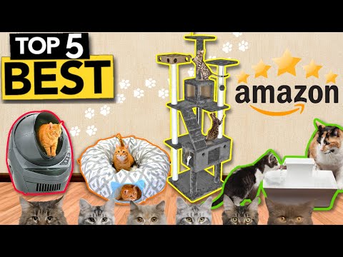 HIghest Rated Cat Toys on Amazon | Must Have Cat Products