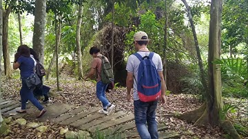 VLOG 143 (Landmark inside the CSU campus)